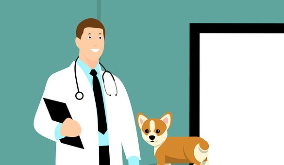 assurance pour animal de compagnie